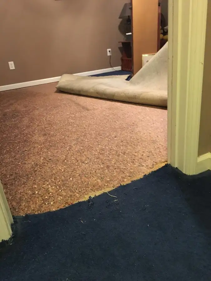 Carpet pad removal revealing water damage during Drying & Dehumidification in Paris